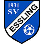 https://img.hbnj.net/img/football/team/709e69f74ae94fd838d43a78c30d0778.jpg